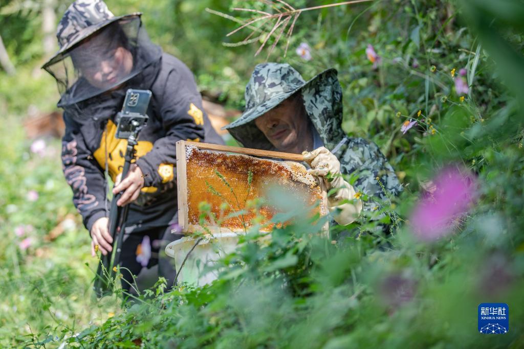 永泉评级有限公司